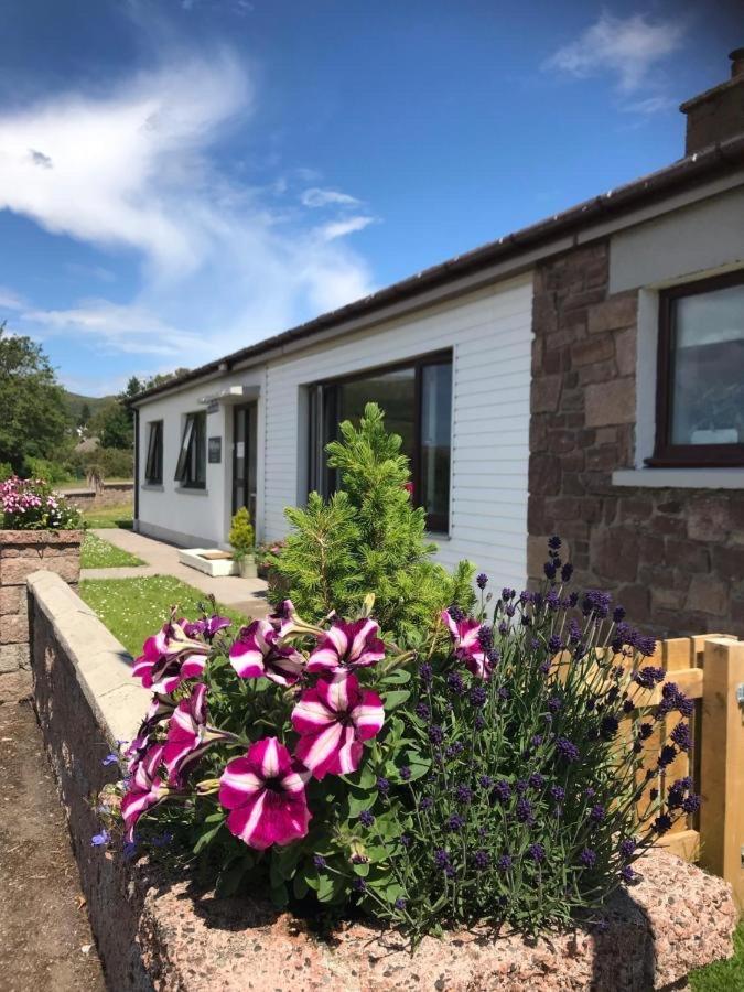 Millview Ullapool Bed and Breakfast Eksteriør billede